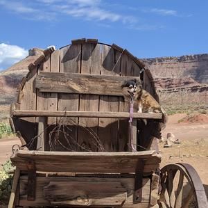 Meet your Posher, Lori